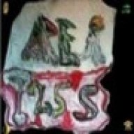 Area-1255