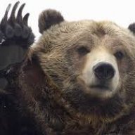BearOf17
